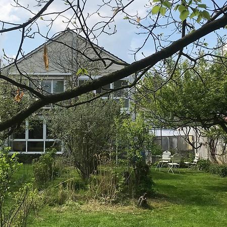 Rebenlaub Apartment Heringen  Екстериор снимка