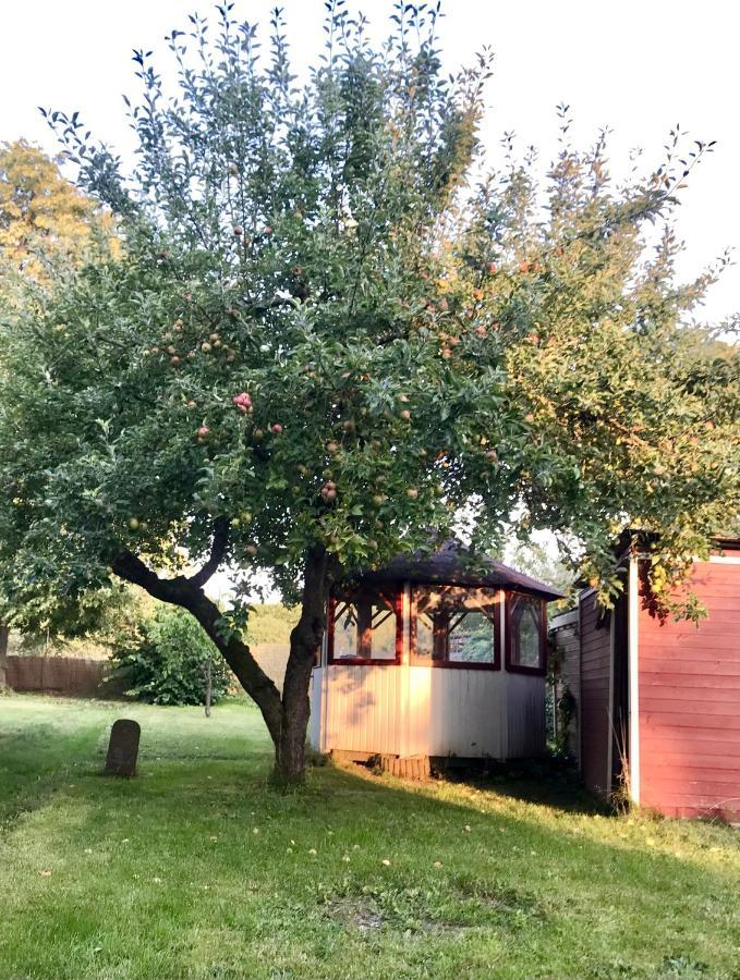 Rebenlaub Apartment Heringen  Екстериор снимка